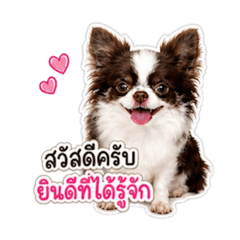 Sky_20260504175520