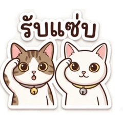 Duo Mao Mao V2