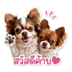 phalo happy_20260504180155