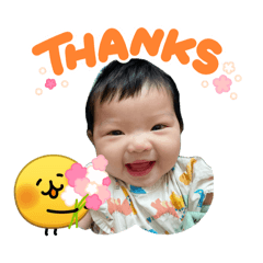 Mamiploy_20260504182534