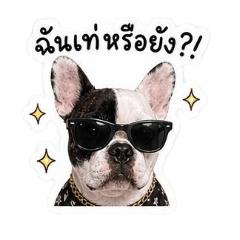 Tae_20260504182252