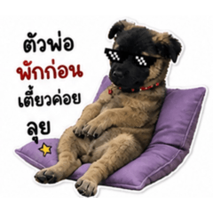 Janez_20260504182924