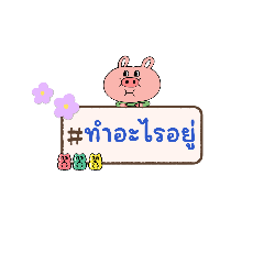 Nong Zee_20260504183534