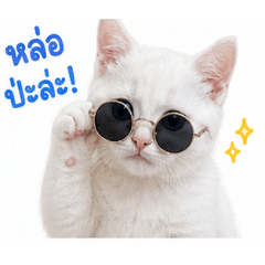 Tae_20260504183708