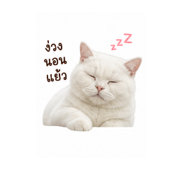 Gotji1234_20260504184146