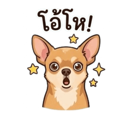 dawchompoo_20260504183924