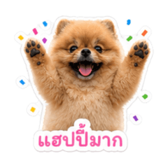 Rs ozawang_20260504184552
