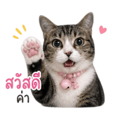 Nannalin Lukkaew_20260504184543