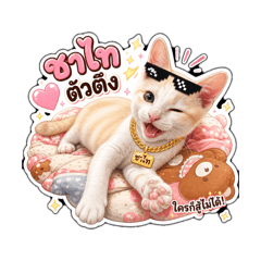 CHaThai_20260504184550