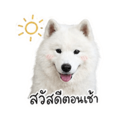 Aliceeeeee_20260504185143