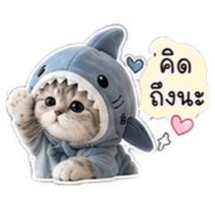 Nana_20260504184417