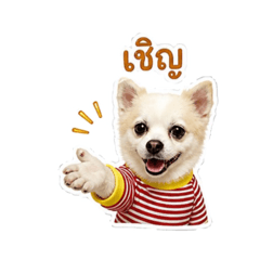 Lucky ver.01