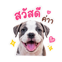 KruLookmoo_20260504190100