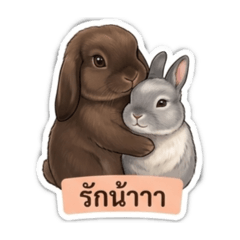 Tong Tong_20260504190026