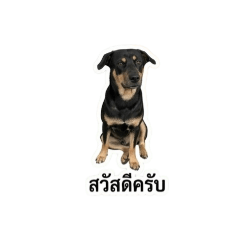 tee_20260504190546