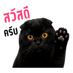 Minmin_20260504191451