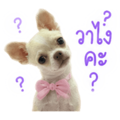 Tubtim_20260702121310