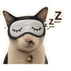 Meaw Ha! ha! V.1