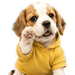 MaYom Funny Beagle