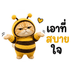 Chubby-Meow Phueng