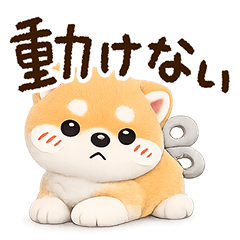 だるシバ犬