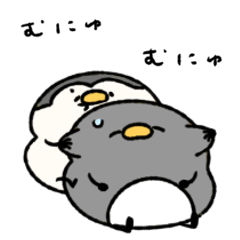Penguins kenka
