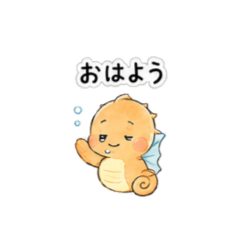 Fluffy Seahorse Daily Life