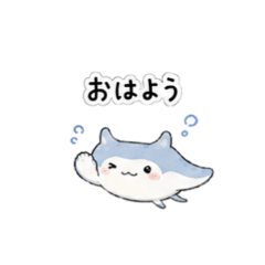Fluffy Manta Daily Life