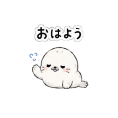 Fluffy Seal Daily Life cute