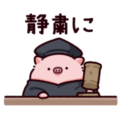 Discussion Pig