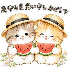 Moving  Summer thoughtfulness  cat