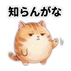 ちゃちゃまるの毎日使える関西弁Part２やで