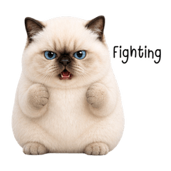 Bossy Blue-Eyed Cream Cat (EN)