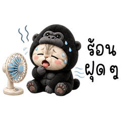 Chubby Gorilla Cat Thai
