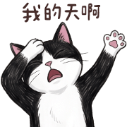 (L)Tuxedo cat_ 06