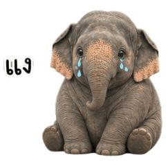 Little Elephant : Boohoo