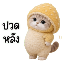 Mushroom Cat : Back Pain