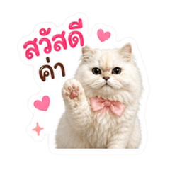 ยูริแมวเหลือง