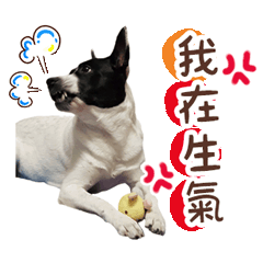 我的寶貝女兒❤️