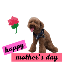 2018 Mothers Day