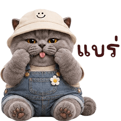 ❤️น้องแมวเทาอ้วนตั๊บ2❤️
