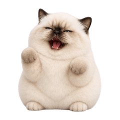 Bossy Blue-Eyed Cream Cat! (EN)