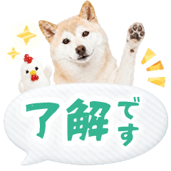 誰でも使える癒し柴犬