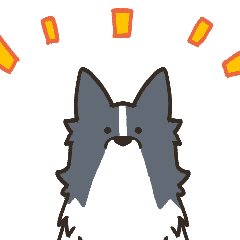 動く！シンプルボーダーコリー