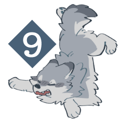 VARIOUS WOLVES9