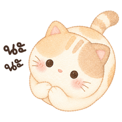 เหมียวยิปปี้ <3