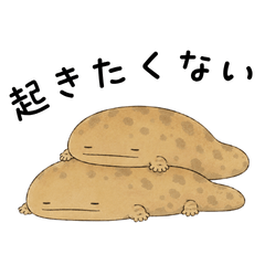 Giant Salamander Daily Stickers