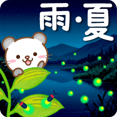 Panda cat Pannya, rainday moving china