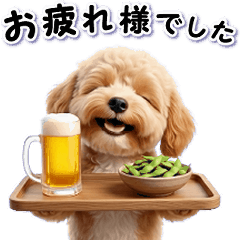 Animated daily stickers of a Maltipoo