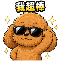 bouncy poodle's daily life